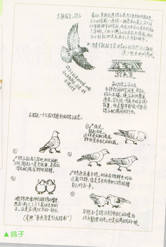 如何創作描繪春天的自然筆記 圖4